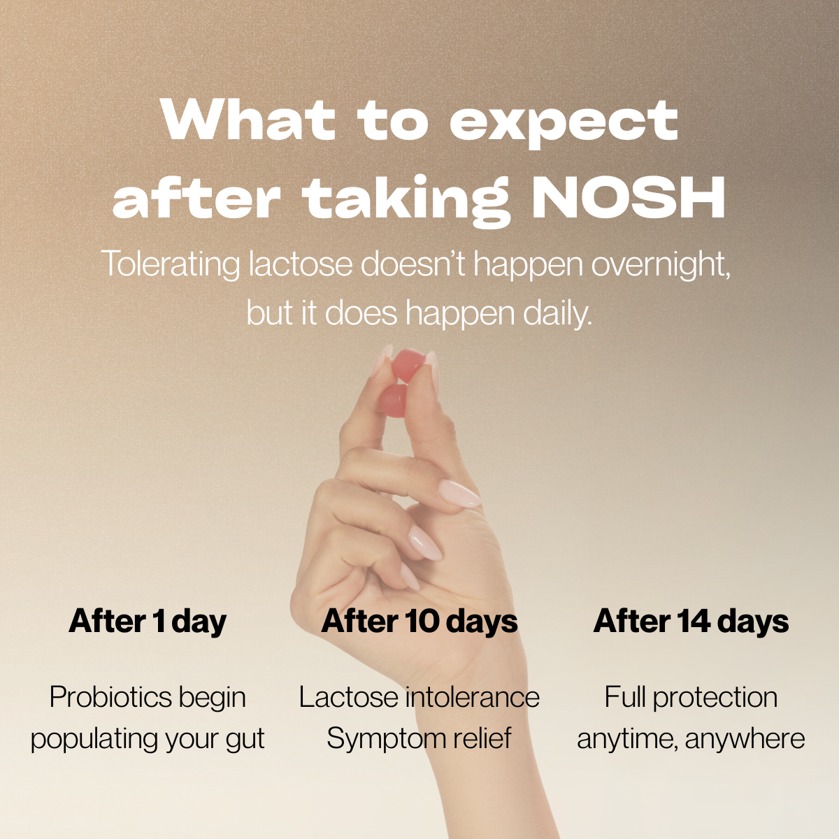 NOSH - Lactose Digestive Gummies